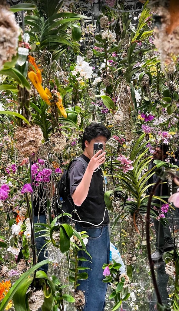 mirror selfie in the teamlab flower room